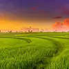 Jocelyn Haley - @jocelyn.haley2 - TikTok