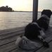 Jocelyn Haley - Facebook