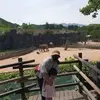 Jocelyn Low - @jocelyn.low1 - TikTok