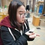 𝓙𝓸𝓬𝓮𝓵𝔂𝓷 𝓩𝓲 𝓨𝓮𝓷𝓰, 𝓛𝓸𝔀 - @joyfullycheerfulinlife - Instagram