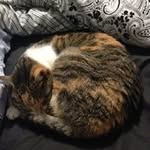 Jocelyn Maloney - @jocelynmaloney - Instagram