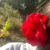 Jocelynn Mayo - @jocelynn.mayo6 - TikTok