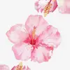 🪸 - @jocelyn.mcdaniel8 - TikTok