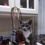 Jocelyn McGrath - @jocelynmcgrath4 - Instagram