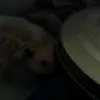 Jocelyn Messer - @user067285245 - TikTok