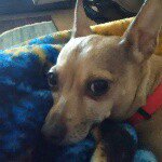 jocelyn moses - @jawz2004 - Instagram