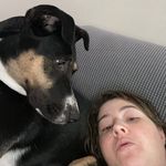 Jocelyn Mueller - @dogmom_jm - Instagram