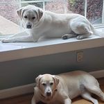 Jocelyn Sammt Mueller - @jocelyn.mueller.9 - Instagram