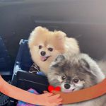 Jocelyn Müller - @_jamu1967 - Instagram