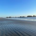 Jocelyn Napier - @swellpropertytofino - Instagram