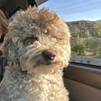Jocelyn Ogden - Facebook