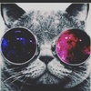Jocelyn Pate - @jocelynpate - TikTok