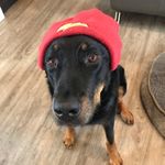 Jocelyn Pearce - @pearcejocdy - Instagram