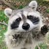 jocelyn - @jocelyn.penner - TikTok