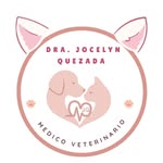 Dra Jocelyn Quezada S. - @veterinaria.jocelynquezada - Instagram