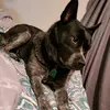 Jocelyn Randall - @randall.20 - TikTok