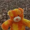 MarshalDerekmQ - @randalljocelynf - TikTok