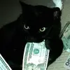 rich.jocelynb - @rich.jocelynb - TikTok