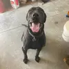 Jocelyn Richards595 - @jocelynrichards228 - TikTok