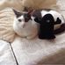 Jocelyn Roper - Facebook