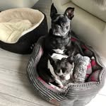 Jocelyn Schofield - @jocelyn_schofield - Instagram