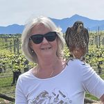 Jocelyn Sharples - @sharplesjocelyn - Instagram