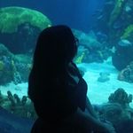 Jocelyn Daugherty - @jocelyn.is.not.short - Instagram