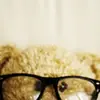 jocelynsteelelane - @jocelynsteelelane - TikTok