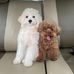 Jocelin Tanner - Facebook