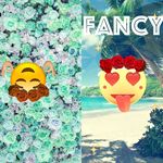 Jocelyn tanner - @jocelyntanner - Instagram