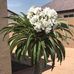Jocelyn Townsend - Facebook