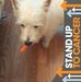 Jocelyn Vance - Facebook