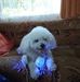 Jocelyne Way - Facebook
