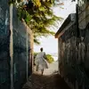 Jocelyn Webb - @jocelyn.webb20 - TikTok