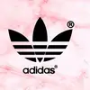 jocelynwebb070209 - @jocelynwebb070209 - TikTok