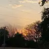 jos🥎 - @jocelyn.webb29 - TikTok