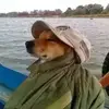 jocelyn - @jocelyn.wolfe - TikTok