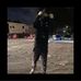 Jack Langsdale - Facebook