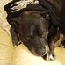 Jodee Harris - Facebook