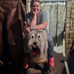 Jodee Porter - @animatedkarma - Instagram