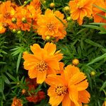 Jodene Smith Brown - @jcls1234 - Instagram