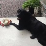Jody Abrams - @jody.abrams.56 - Instagram