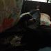 Jodi Adamson - Facebook
