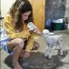 jodi_armstrong17 - @jodi_armstrong17 - TikTok