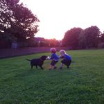 Jodi Armstrong - @jodiarmstrong27 - Instagram