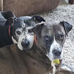 Jodi Armstrong - @jodiarmstrong1969 - Instagram