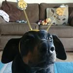 Jody Asher - @jody.asher.79 - Instagram