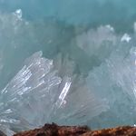 Jodi Atkinson Alexander - @tamugirl - Instagram