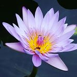 Jodibaum - @jodibaum1106 - Instagram