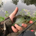 Jodibaumann1234 - @jodi_baumann36356 - Instagram